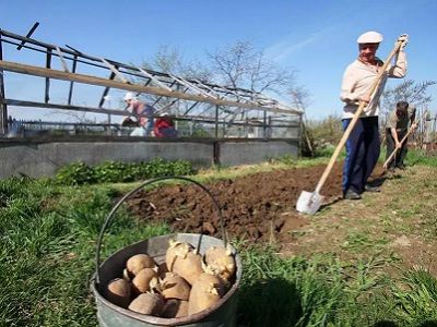 Огородники. Источник - http://dacha.cdi24.ru/