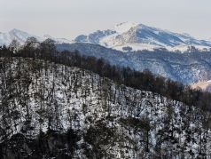 Фото: Елена Афонина / ТАСС